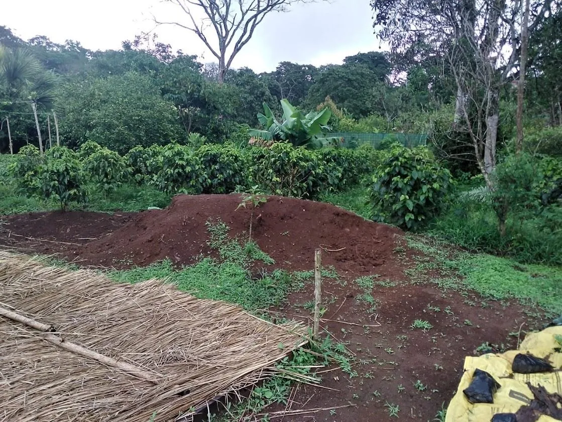 Área de secado de la finca